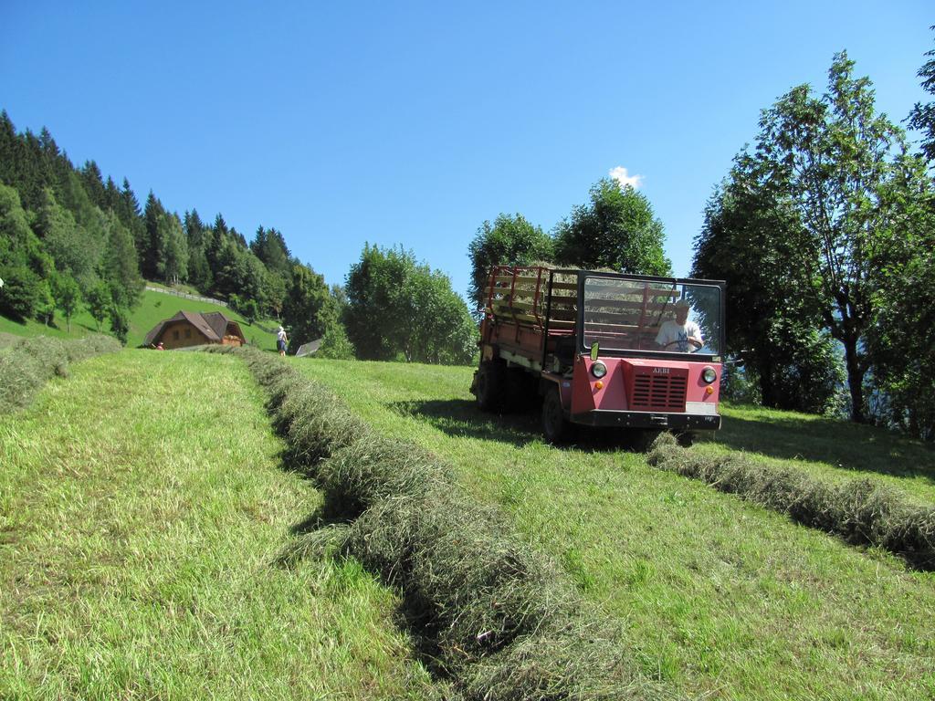 Lercherhof Feld am See Exterior photo